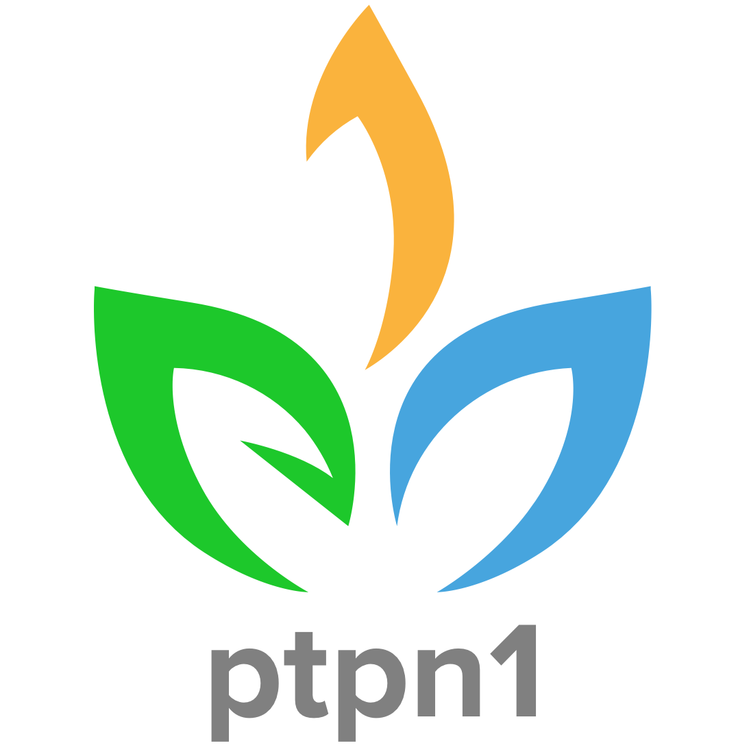 Logo PTPN I